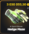 Hedge Maze skin card